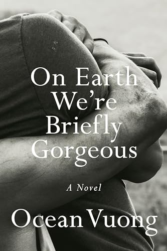On earth we're briefly gorgeous  : a novel /